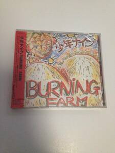 「レア 新品サンプル品　BURNING FARM Shonen Knife 、 少年KNIFE