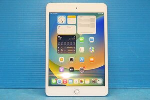 美品 ■Apple■ iPad mini 第5世代 Wi-Fi+Cellular 256GB シルバー au/KDDI [MUXD2J/A]