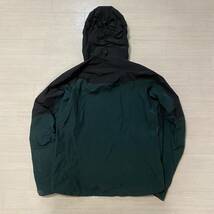 別注 20年製名作 Arcteryx Alpha SV Jacket_画像9