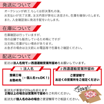 訳あり メッキホイール トラック 低床 大型 19.5×6.75 8穴 新ISO リア用 新品 B品 中国製 DOT-X_画像6