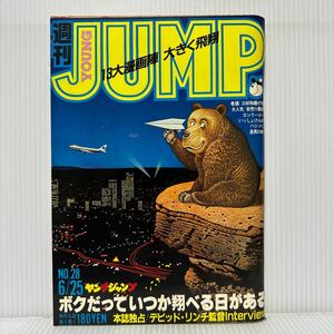 週刊 ヤングジャンプ 1981/6/25号 No.28★ロンリーロード/ド忠犬ハジ公/横浜ラブ・コネクション/乙女座虎右衛門/捨て駒いち/漫画/コミック