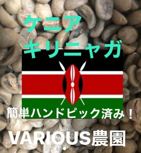 ケニア　キリニャガ1500gコーヒー生豆！焙煎してません！簡単なハンドピック済み！香りが強く、コクがあります