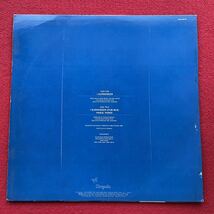 Robey / I Surrender 12''盤その他プロモーション盤 レア盤 人気レコード 多数出品。_画像5