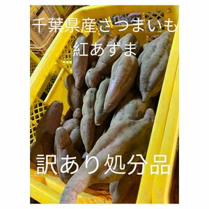 千葉県産さつまいも　紅あずま11キロ　訳あり処分品⑤