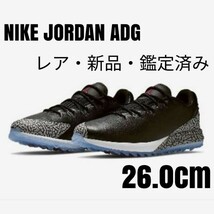 レアモデルNIKEナイキJORDAN ADG BLACK CEMENT 26.0_画像1