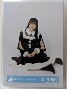 日向坂46　山口 陽世　生写真　ネイビーサンタ衣装　　座り