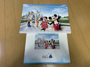 ☆★☆送料無料(指定方法にて) 非売品 限定 ディズニー カレンダー 2024 DISNEY RESORT 夢がかなう場所⑦☆★☆