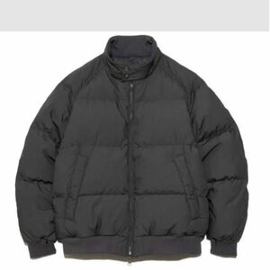 THE NORTH FACE PURPLE LABEL 65/35 Field Down Jacket ダウンジャケット　L