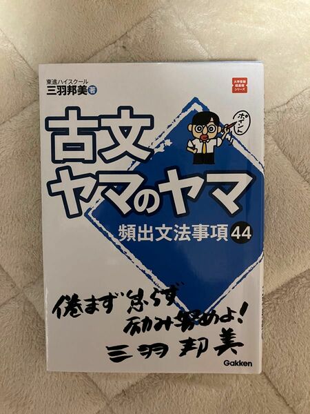 【最安値】大学受験　古文ヤマのヤマ