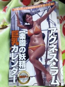 アグネスラム巨乳カレンダーポスター新品未使用付録品