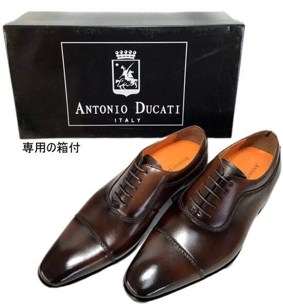 ANTONIO DUCATI アントニオデュカティ DC1173 25.5cm ダークブラウン(DBR) 紳士革靴/ビジネス