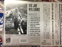 Big Joe Williams★中古CD国内盤帯付「ビッグ・ジョー・ウイリアムス～9ストリング・ギター・ブルース」_画像2