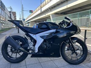 GSX-R125 インポートミニ仕様　選手権優勝車　レースカウル、レース用リアショック