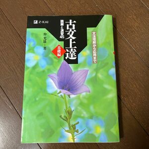 古文上達　基礎編　読解と演習４５ 仲　光雄　著