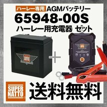 充電器＋ハーレー専用AGMバッテリー 65948-00S■YTX14-BS 65948-00A 65948-00B 互換_画像1