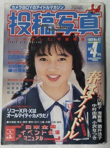 投稿写真 1988年4月号No.42 表紙：守屋寿恵、水谷麻里、姫乃樹リカ、北岡夢子、藤谷美紀他