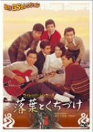 【中古】落葉とくちづけ [DVD]