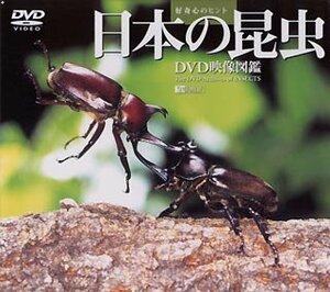 【中古】日本の昆虫 DVD映像図鑑