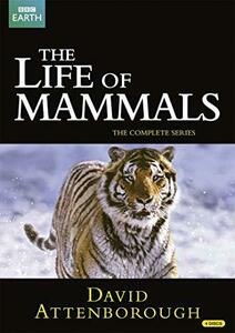 【中古】BBC The Life of Mammals -哺乳類の世界- DVD-BOX (10エピソード%カンマ% 498分) BBC EARTH ライフシリーズ [DVD] [Import] [PAL%