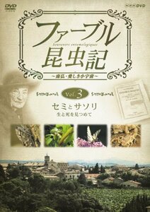 【中古】ファーブル昆虫記 セミとサソリ 生と死を見つめて [DVD]