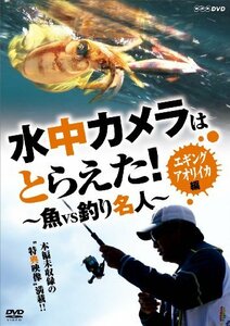 【中古】水中カメラはとらえた! 魚VS釣り名人 エギング アオリイカ編 [DVD]