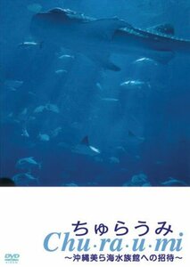 【中古】ちゅらうみ 沖縄美ら海水族館への招待 [DVD]