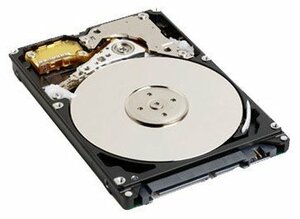 【中古】日立 HGST 2.5インチ 内蔵HDD/250GB/SATA 1.5Gbps/5400rpm/8MB HTS543225L9SA00 バルク