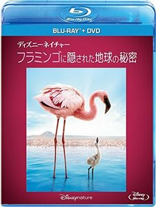 【中古】ディズニーネイチャー/フラミンゴに隠された地球の秘密 ブルーレイ+DVDセット [Blu-ray]