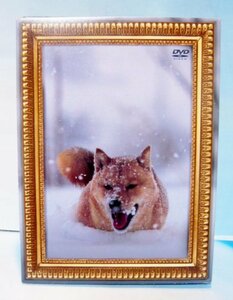 【中古】レオナルド犬プリオ(初回生産限定盤) [DVD]