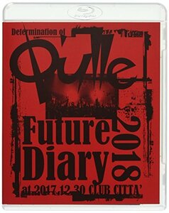 【中古】Determination of Q'ulle「Future Diary 2018」 at 2017.12.30 CLUB CITTA'(Blu-ray Disc)