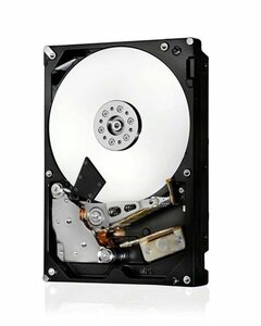 【中古】HGST HUS726020ALA610 2TB 7200rpm SATA 3.5inch Enterprise class [並行輸入品]