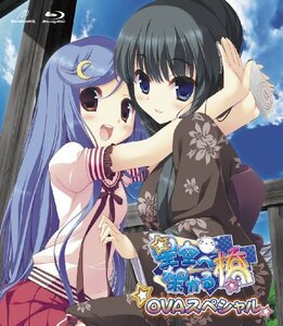 【中古】星空へ架かる橋　OVAスペシャル　初回限定特装版 [Blu-ray]