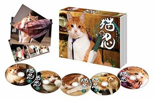 【中古】ドラマ「 猫忍 」DVD-BOX