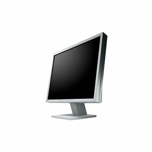 【中古】EIZO FlexScan S1934-TGY セレーングレイ