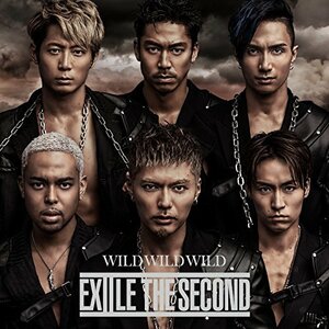 【中古】WILD WILD WILD(DVD付)