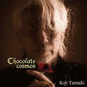 【中古】Chocolate cosmos(CD)