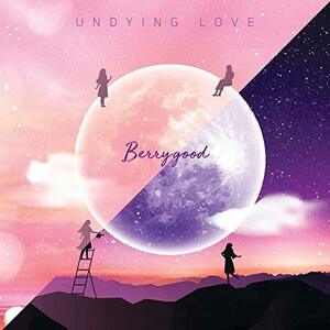 【中古】UNDYING LOVE(韓国盤)