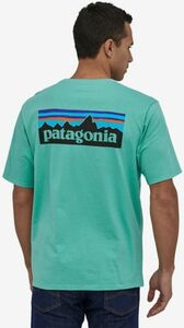 PATAGONIA パタゴニア P-6 ロゴ オーガニック メンズ Tシャツ P-6 LOGO ORGANIC T-SHIRT 38535 Light Beryl Green LBYG Sサイズ