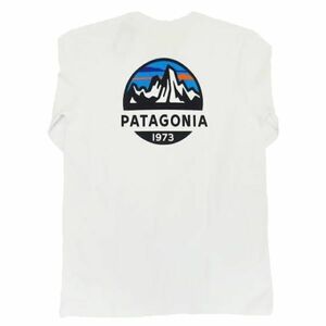 [Patagonia (パタゴニア)] M's L/S Fitz Roy Scope Responsibili Tee フィッツロイ スコープ レスポンシビリ 　XLサイズ