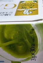 九州 Green Farm カラダケア GABA青汁 30袋×2 新品未開封_画像4