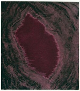 anishu*ka Pooh a woodcut [Blackness from Her Womb 5] etching limit 30 autograph 19.5×17 S:42.5×38 2000 year work Anish Kapoor