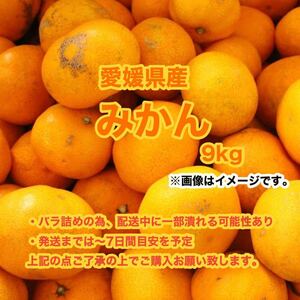 f5愛媛産みかん 9kg〈訳あり家庭用〉