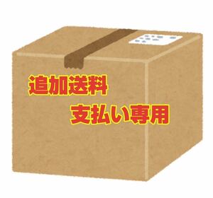 【kawano_0524様専用】追加送料