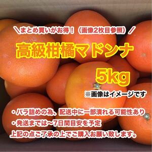 e1高級柑橘マドンナ 5kg〈訳あり家庭用〉