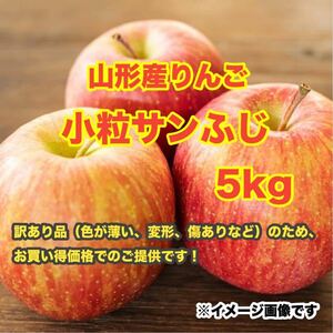 b11山形りんご小粒サンふじ 5kg〈訳あり家庭用〉