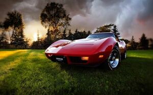  Chevrolet Corvette стойка n серый 3 поколения C3 type 1973 год обои постер очень большой широкий версия 921×576mm. ... наклейка тип 035W1