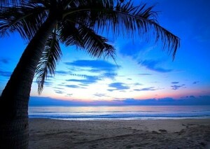 夜明けのビーチ カリブ海の朝陽 海 絵画風 壁紙ポスター A2版 594×420mm（はがせるシール式）029A2