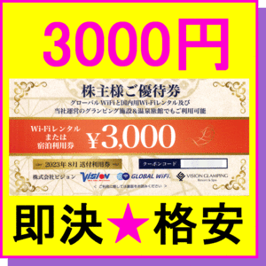 即決◆ビジョン 株主優待券 3000円クーポン券×1枚～9枚(27000円分)◆通知送料無料 グローバルWiFiレンタル グランピング 温泉旅館 宿泊券