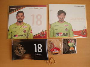 Shibuya Flight Goods Nagoya Grampus Mini Color Paper Multi -Case Caychain J League Vanforet Kofu