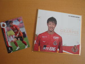 Yoichiro Kakitani Goods Nagoya Grampus Mini Color Paper Card J League Tokushima Voltis